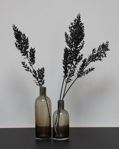 Ruscus 5 st. – torkade blommor i Svart