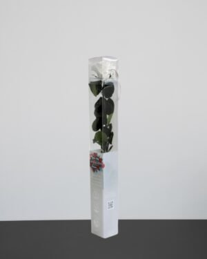 Forever Flora Dk