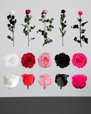 Forever Flora Dk