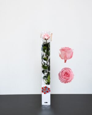 Forever Flora Dk