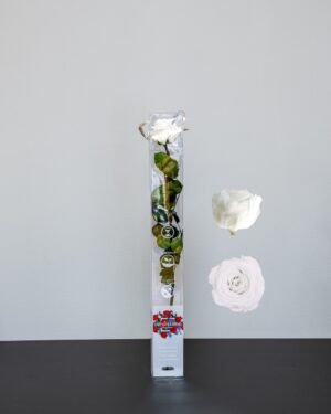 Forever Flora Dk