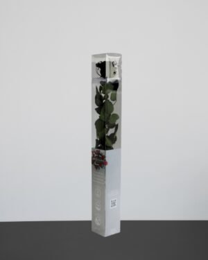 Forever Flora Dk