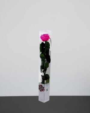 Forever Flora Dk