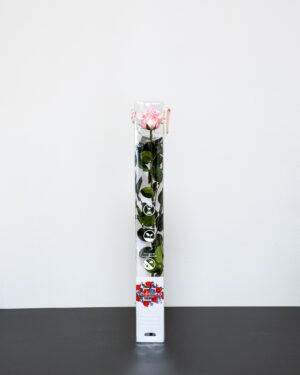 Forever Flora Dk