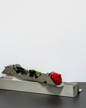 Forever Flora Dk