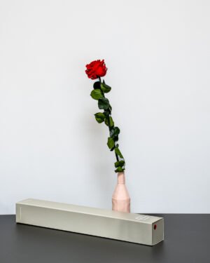 Forever Flora Dk