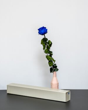 Forever Flora Dk