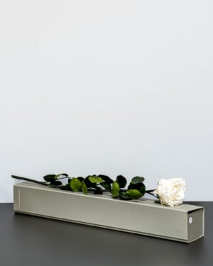Forever Flora Dk