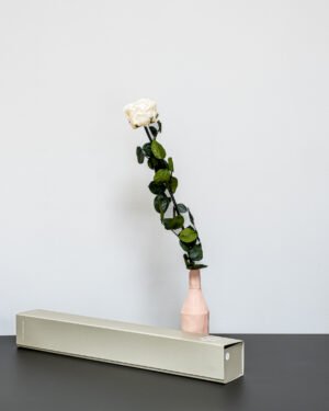 Forever Flora Dk