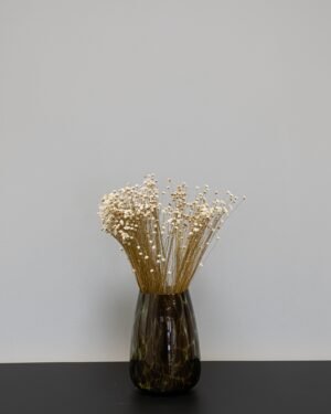Glixia - Tørrede blomster