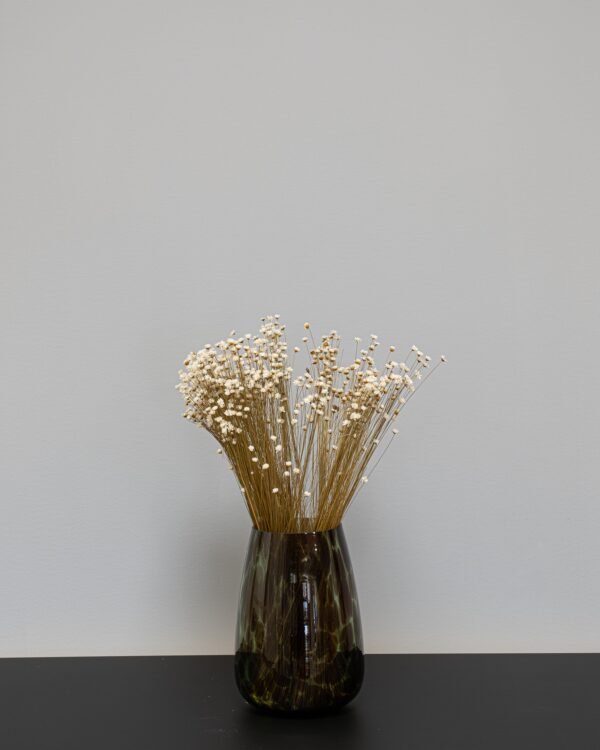 Glixia - Tørrede blomster