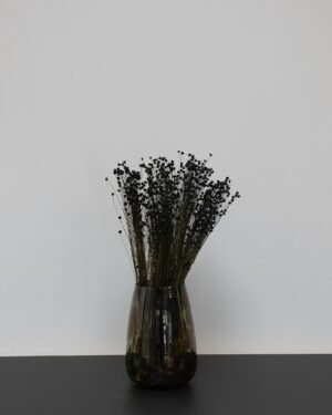 Forever Flora Dk