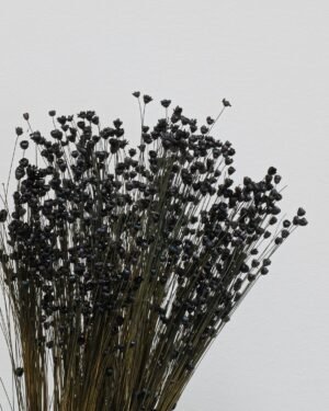 Forever Flora Dk
