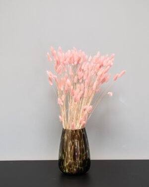 Forever Flora Dk
