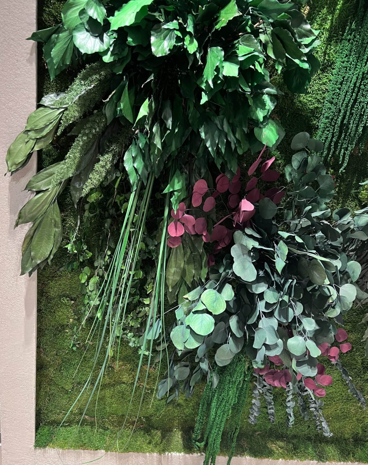 Forever Flora Dk