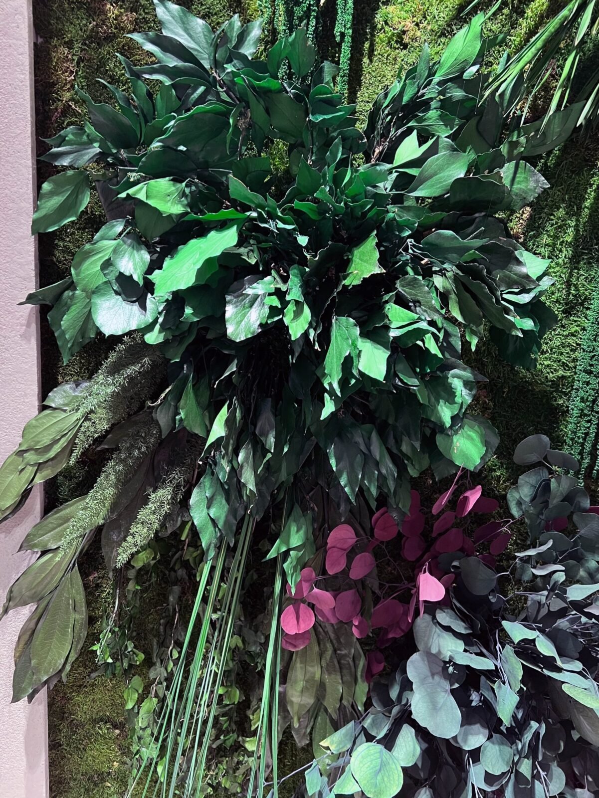 Forever Flora Dk