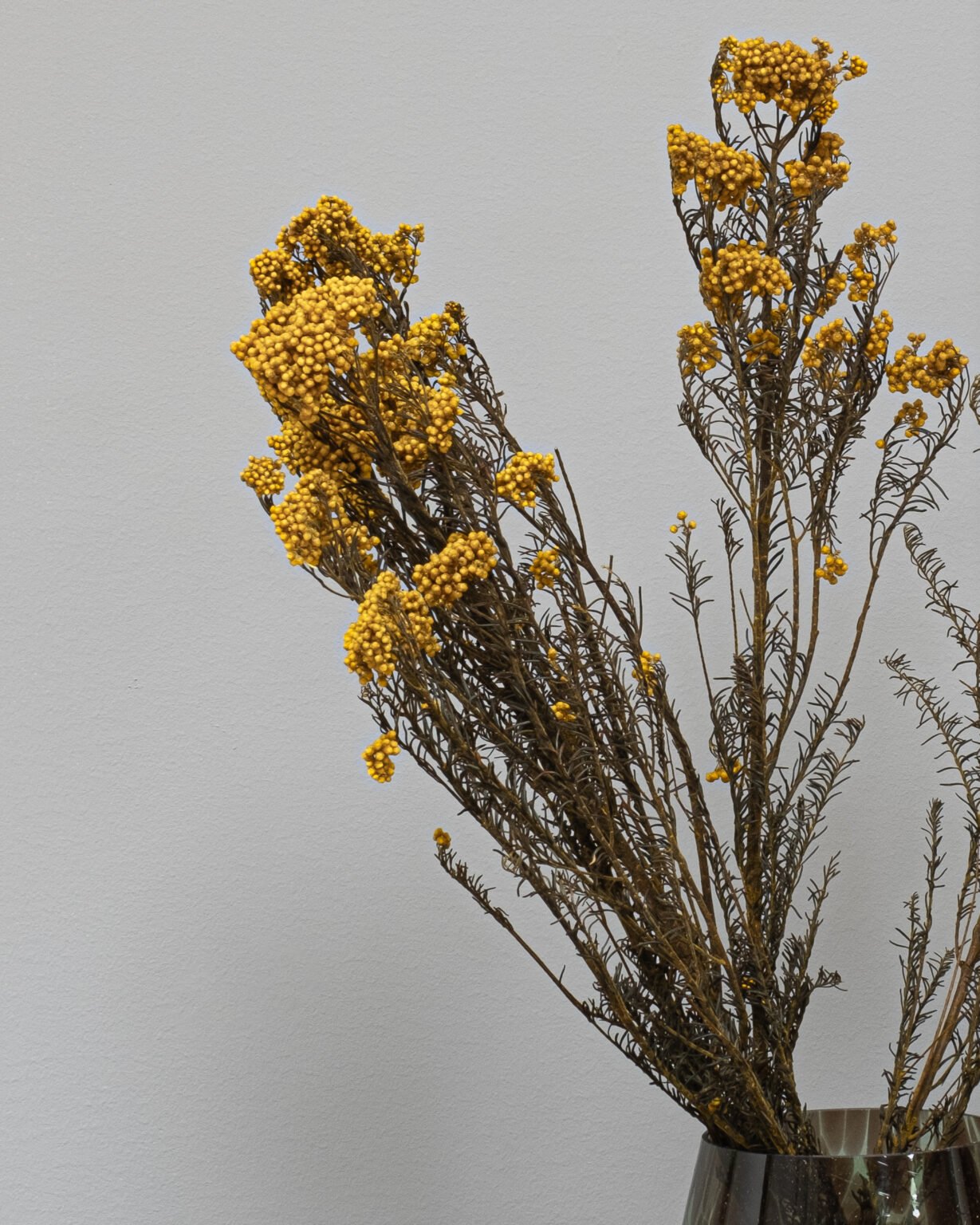 Diosmi Naturlig - konserverede blomster - Image 4