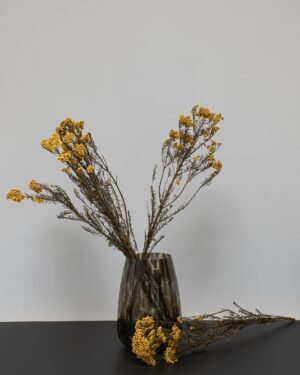 Forever Flora Dk