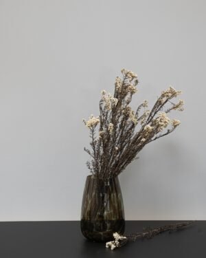 Alternative view of Eksklusiv Konserveret Diosmi (Risblomst) – Naturtro Evighedsblomst (50-60 cm)