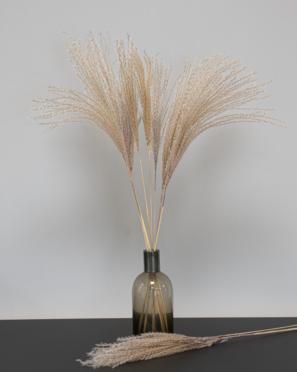 Miscanthus Naturlig - tørrede blomster - Image 3