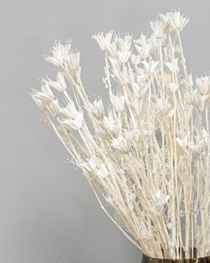 Forever Flora Dk