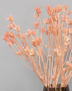 Forever Flora Dk
