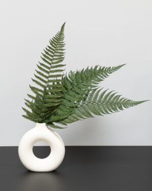 Alternative view of Eksklusiv Konserveret Bregne – Sæt med 5 Naturtro Planter