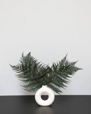 Eksklusiv Konserveret Bregne – Sæt med 5 Naturtro Planter 6 Forever Flora Dk