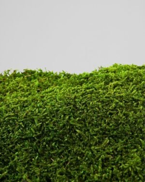 Brandsikkert Fladmos (1,5 m²) | Brandhæmmende & Naturtro 7 Forever Flora Dk