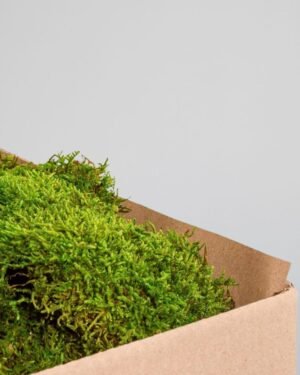 Brandsikkert Fladmos (1,5 m²) | Brandhæmmende & Naturtro 6 Forever Flora Dk
