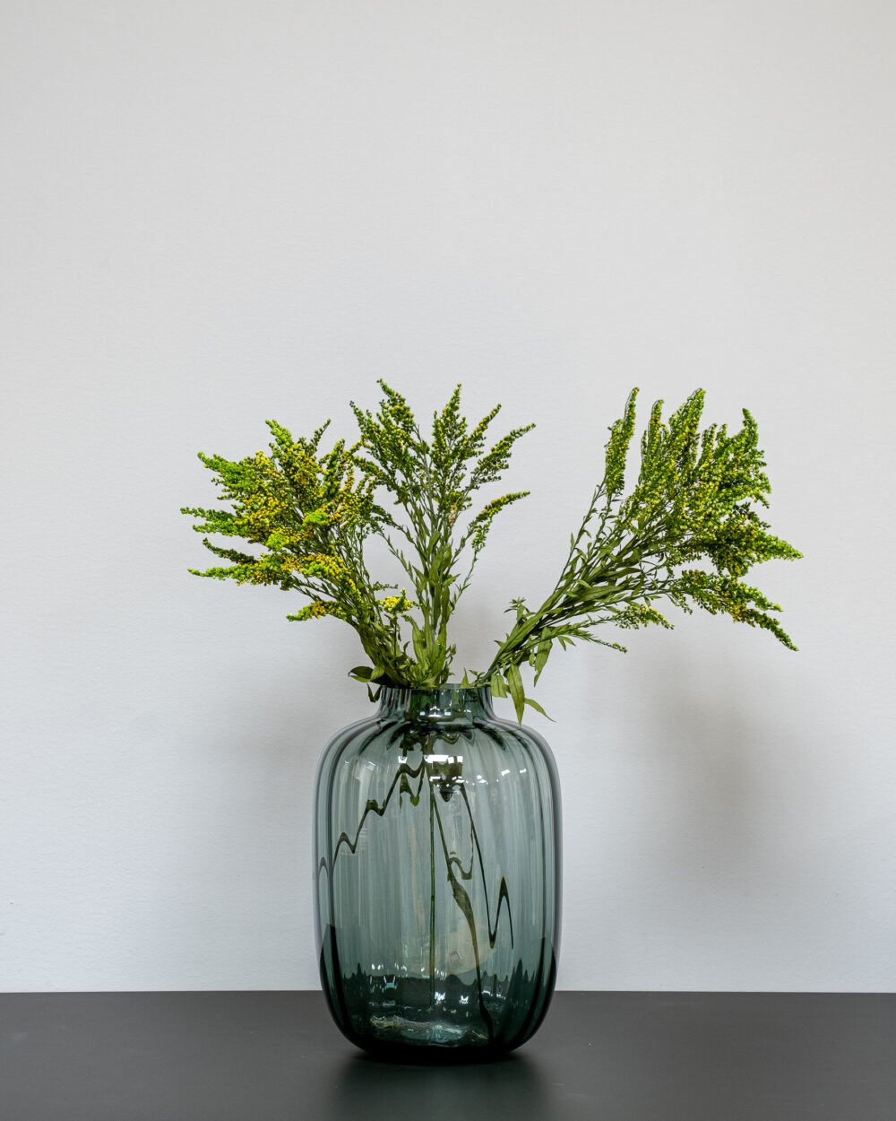 Solidago Grøn - konserverede planter - Image 3