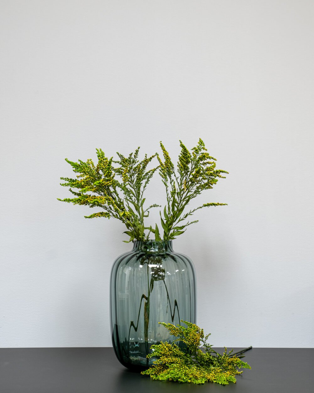 Solidago Grøn - konserverede planter - Image 5