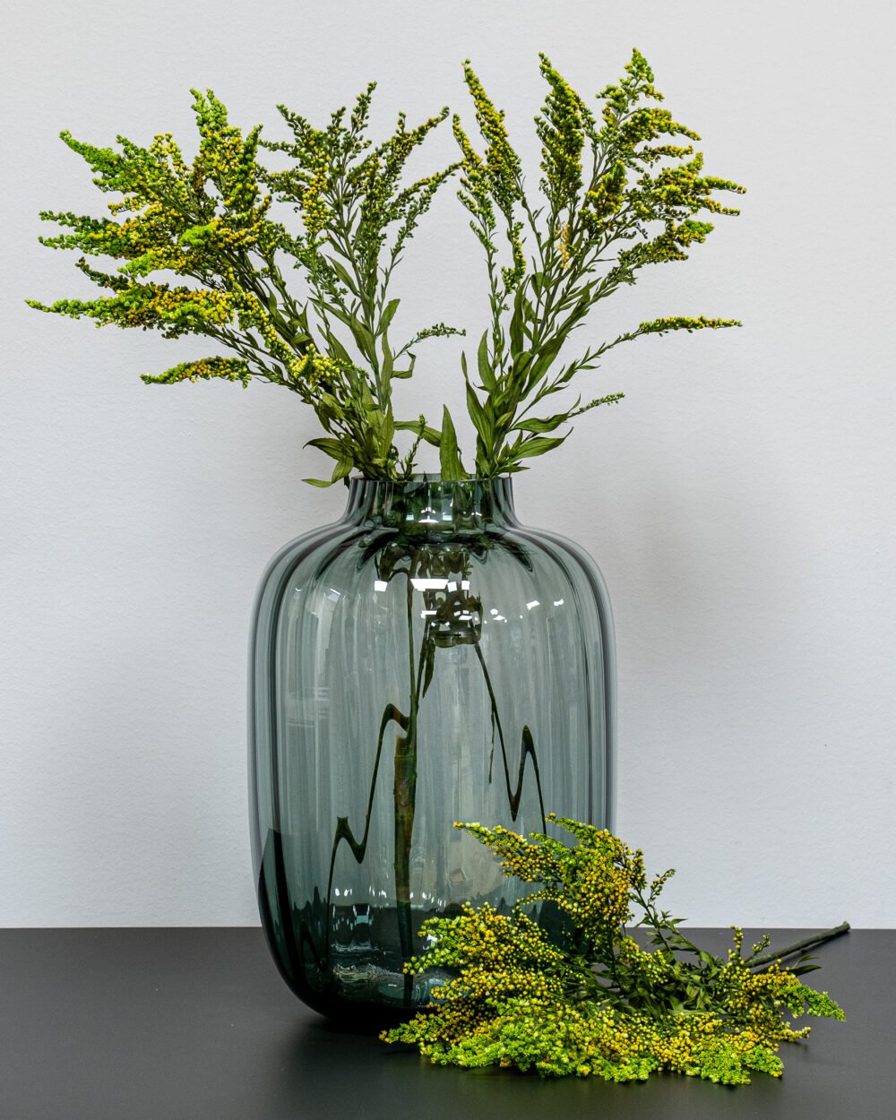 Solidago Grøn - konserverede planter - Image 4