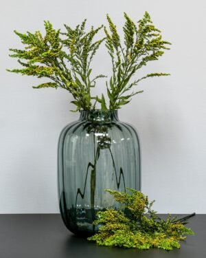 Forever Flora Dk