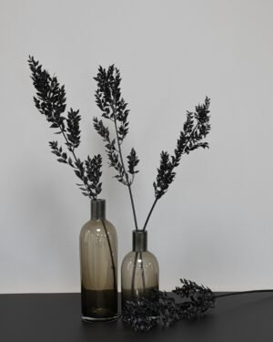 Ruscus