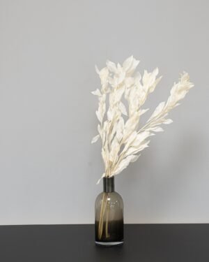 Ruscus