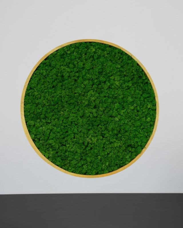 Alternative view of Mosstavla Kvadratisk med Äkta Finsk Renlav