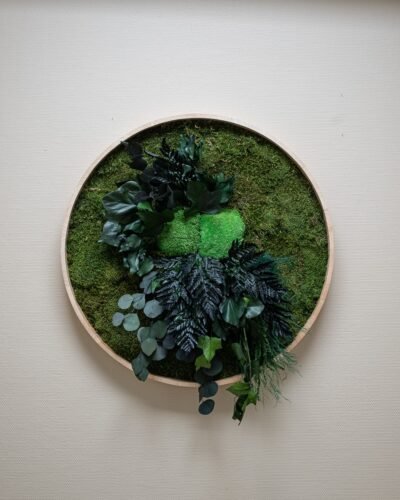 Runde Mosbilleder – Regnskov Design Plantevæg 6 Forever Flora Dk