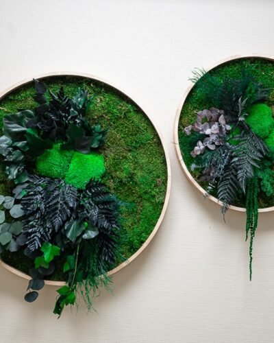 Runde Mosbilleder – Regnskov Design Plantevæg 7 Forever Flora Dk