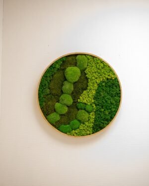 Runde Mosbilleder – Green Mix med Kuglemos, Fladmos & Lavmos 12 Forever Flora Dk