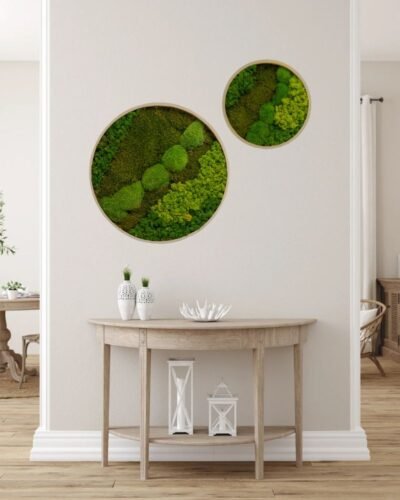 Alternative view of Runde Mosbilleder – Green Mix med Kuglemos, Fladmos & Lavmos