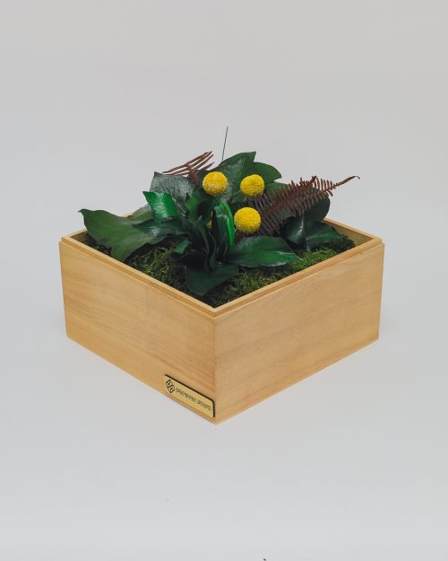 grönbox-natur