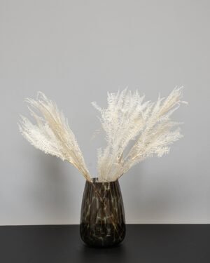 Helecho Fern - Konserverede planter 15 Forever Flora Dk