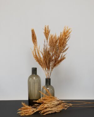 Helecho Fern - Konserverede planter 12 Forever Flora Dk