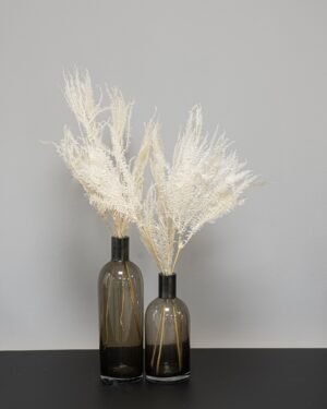 Helecho Fern - Konserverede planter 13 Forever Flora Dk