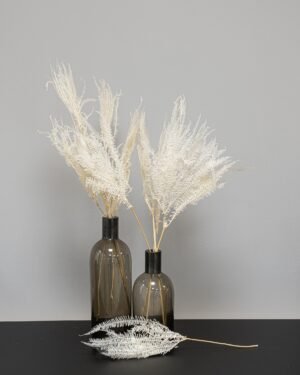 Helecho Fern - Konserverede planter 14 Forever Flora Dk