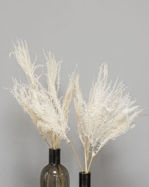 Helecho Fern - Konserverede planter 16 Forever Flora Dk