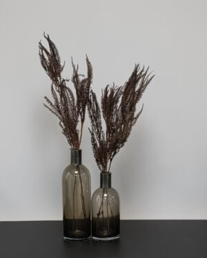Helecho Fern - Konserverede planter 17 Forever Flora Dk