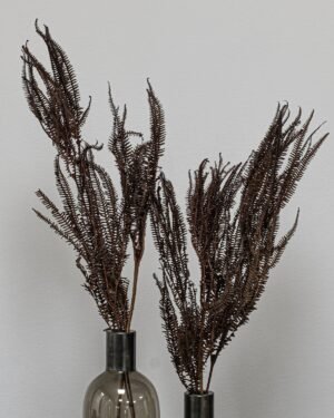 Helecho Fern - Konserverede planter 19 Forever Flora Dk