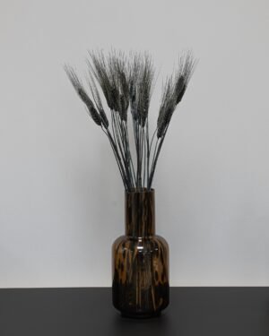 Triticum Hvede - Tørrede blomster 16 Triticum Vete